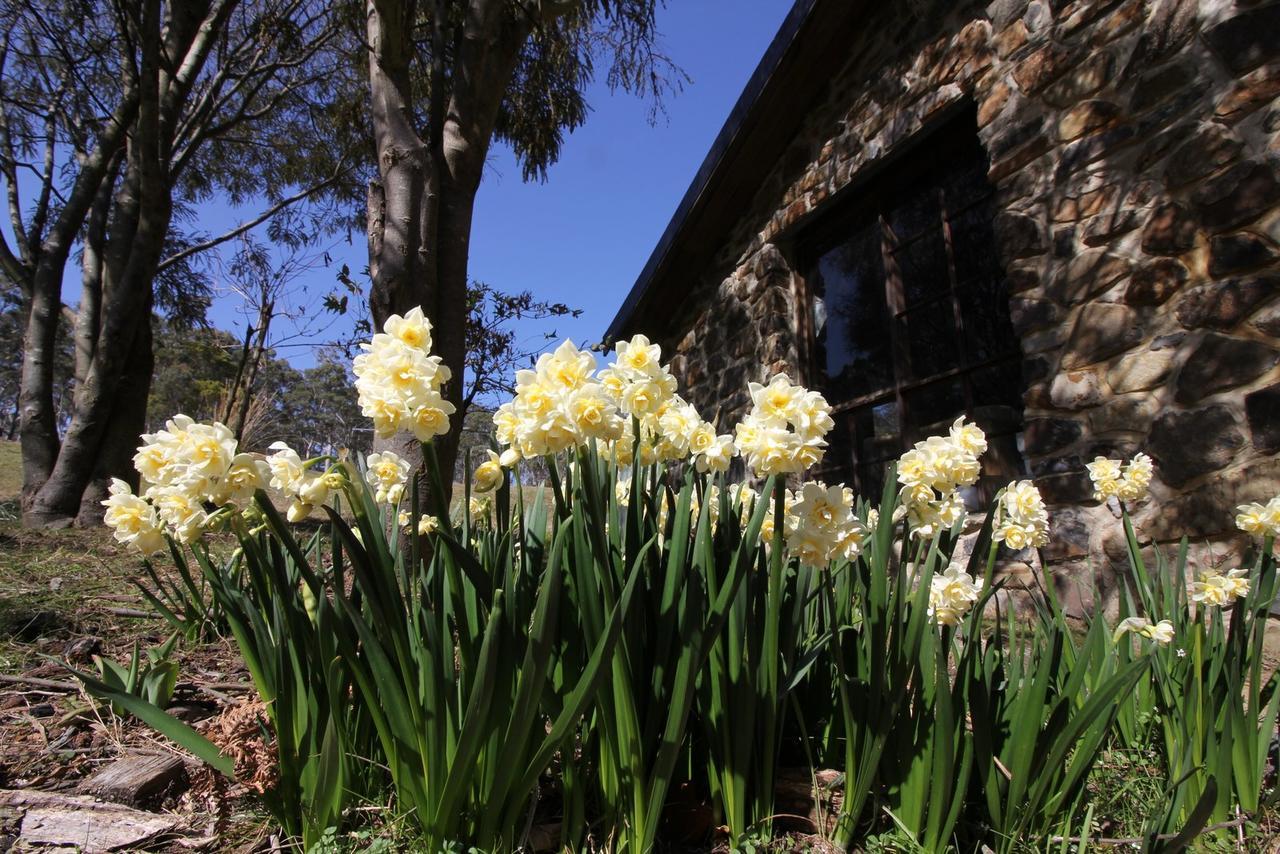 The Great House Bnb Buckland Екстер'єр фото